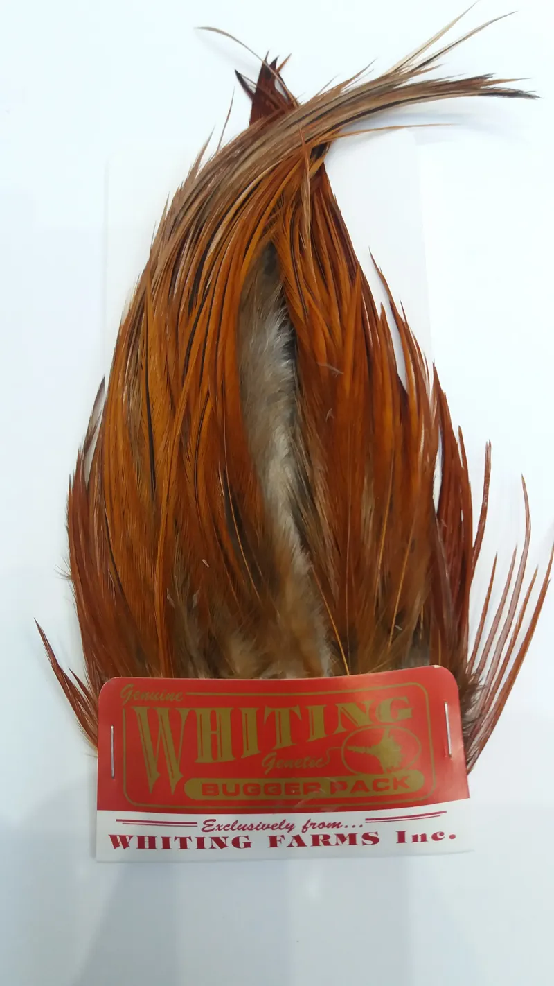 Whiting Bugger Pack in Brown-1